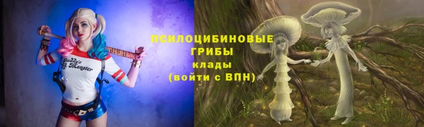 СК Новокубанск