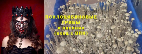 ПСИЛОЦИБИНОВЫЕ ГРИБЫ Ахтубинск