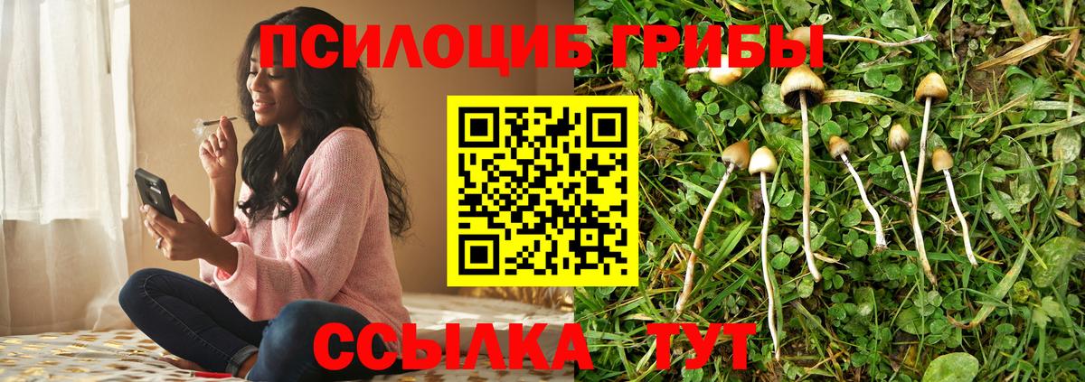 Галлюциногенные грибы мицелий Боровичи