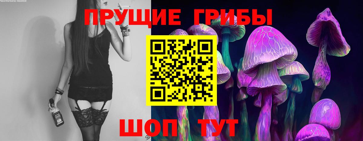 Галлюциногенные грибы мицелий Боровичи