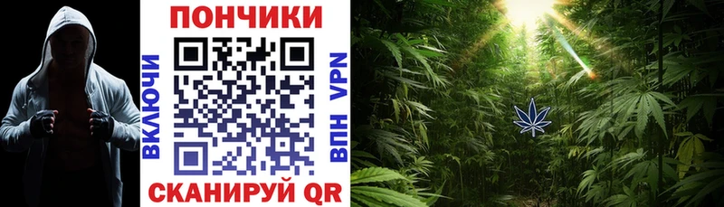 купить наркотик  Боровичи  Каннабис MAZAR 